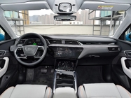 Audi E-Tron 2021 50 Quattro Zhenxuan Version SUV 5 Seats Luxury