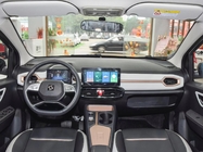 JAC Sehol  E10X 2022 skylight Mini EV New Car 5 Door 5 Seats 306km Colorful