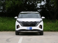 Hyundai Custo 2021 380TGDi Luxury Version DLX Large Mid Size MPV Max 173.6kw