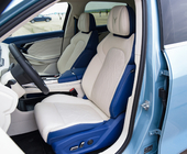 VOYAH FREE 2021 4WD Extended Range Edition Exclusive Luxury Set Medium Large SUV
