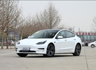 Tesla Model 3 2022 Version Pure Best Electric Cars Four Wheel Drive