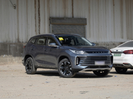 SUV EXEED Lingyun 2021 290T Two Wheel Drive Star Enjoy Edition Grey