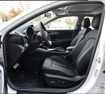 Feista Pure Electric 2020 GLS Free Travel Version Compact Sedan 4 Door 5 Seats